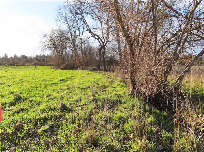 Image No.24-Propriété à vendre à Castelo Branco