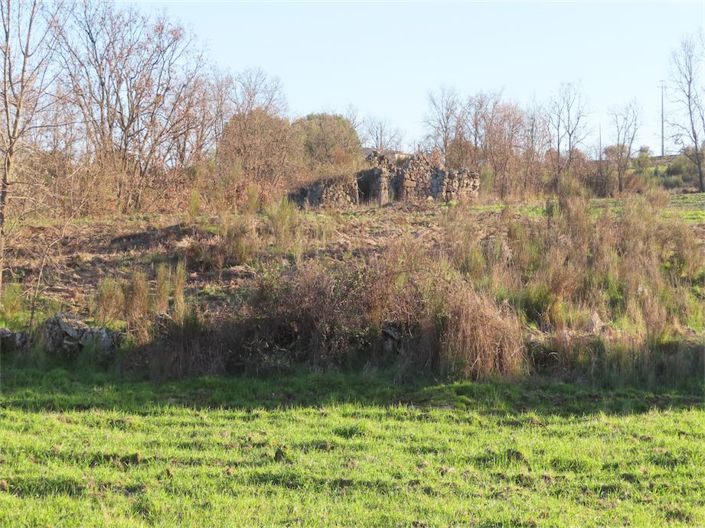 Image No.25-Propriété à vendre à Castelo Branco