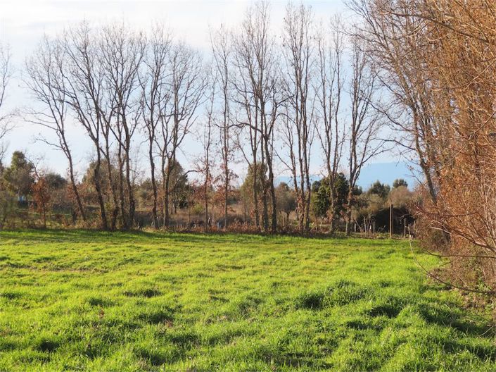 Image No.26-Propriété à vendre à Castelo Branco