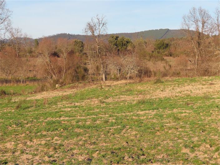 Image No.8-Propriété à vendre à Castelo Branco