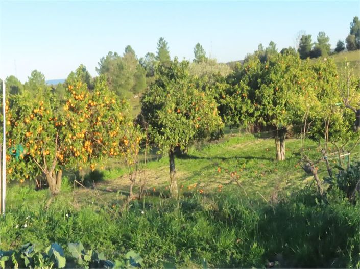 Image No.12-Propriété à vendre à Castelo Branco