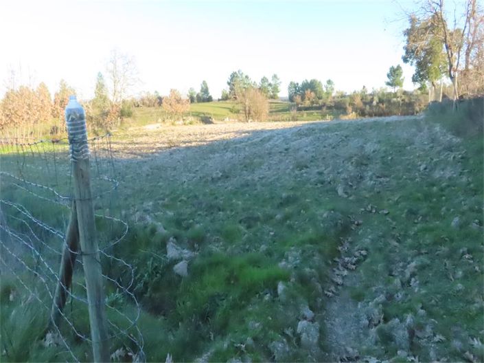 Image No.16-Propriété à vendre à Castelo Branco