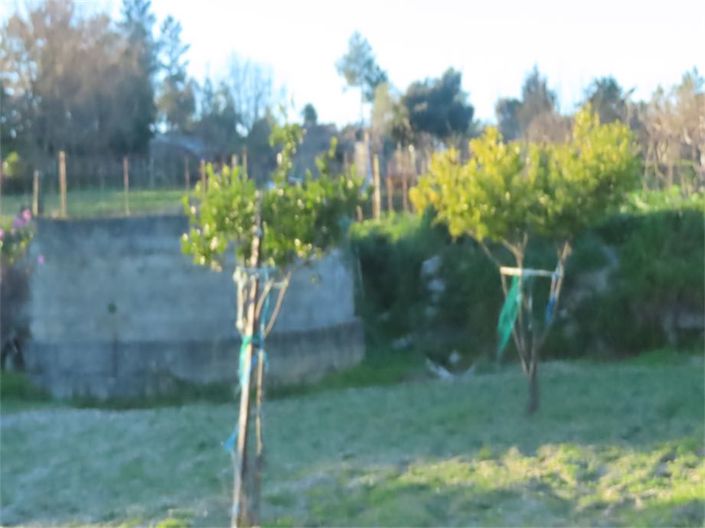 Image No.20-Propriété à vendre à Castelo Branco