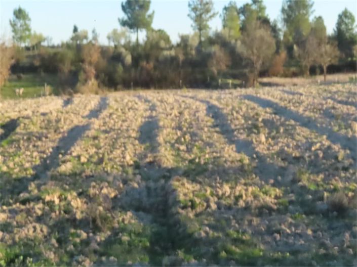 Image No.21-Propriété à vendre à Castelo Branco