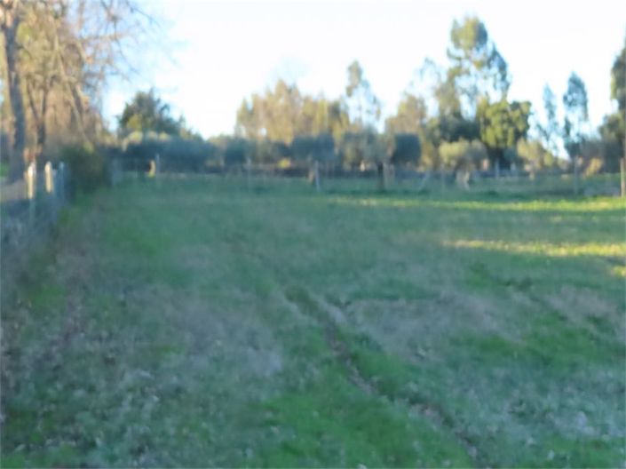 Image No.22-Propriété à vendre à Castelo Branco