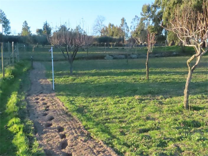 Image No.24-Propriété à vendre à Castelo Branco