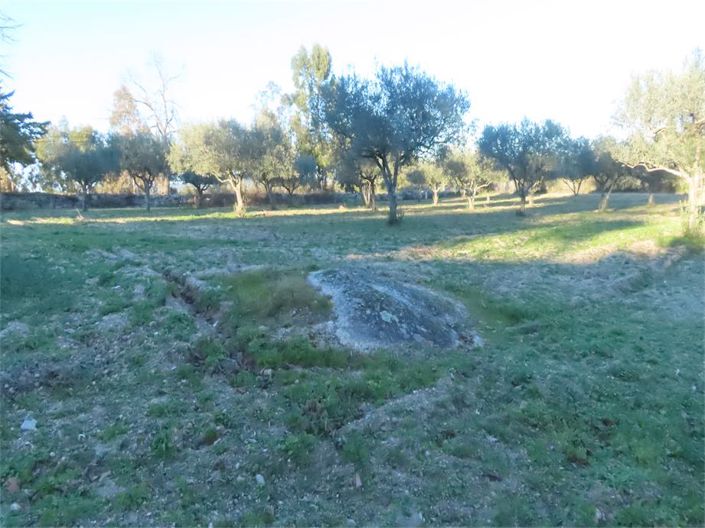 Image No.30-Propriété à vendre à Castelo Branco