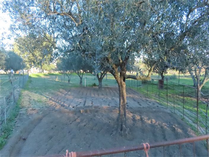 Image No.31-Propriété à vendre à Castelo Branco