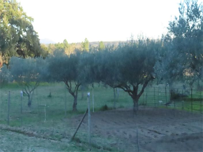 Image No.4-Propriété à vendre à Castelo Branco