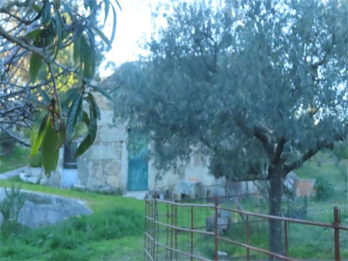 Image No.8-Propriété à vendre à Castelo Branco