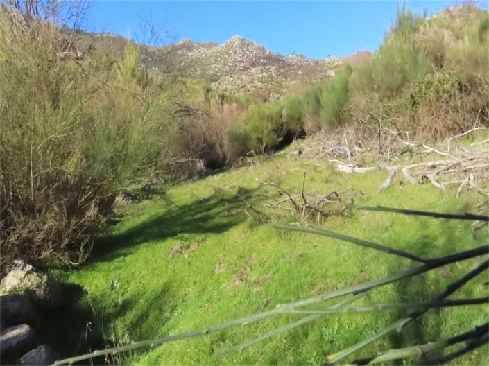 Image No.11-Propriété à vendre à Castelo Branco