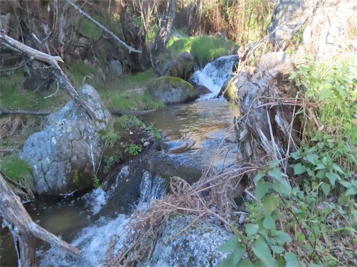 Image No.15-Propriété à vendre à Castelo Branco