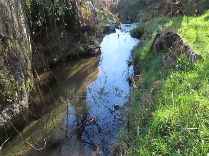 Image No.16-Propriété à vendre à Castelo Branco