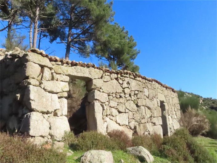 Image No.18-Propriété à vendre à Castelo Branco