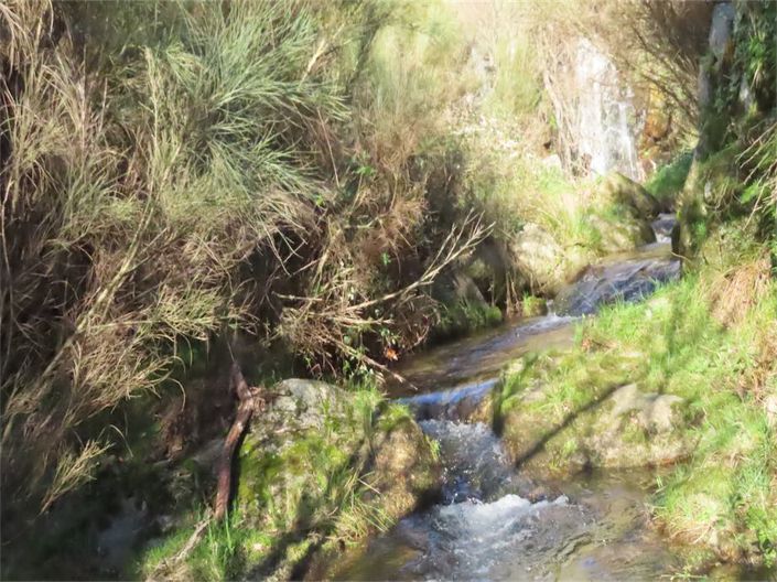 Image No.20-Propriété à vendre à Castelo Branco