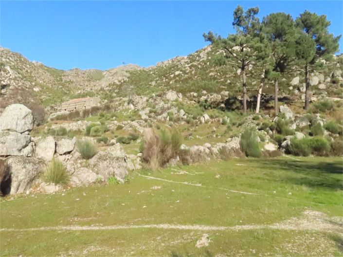 Image No.22-Propriété à vendre à Castelo Branco