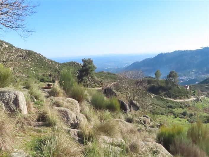 Image No.23-Propriété à vendre à Castelo Branco