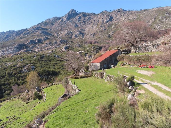 Image No.27-Propriété à vendre à Castelo Branco