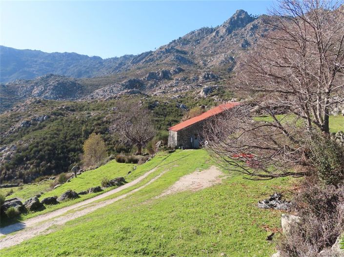 Image No.28-Propriété à vendre à Castelo Branco