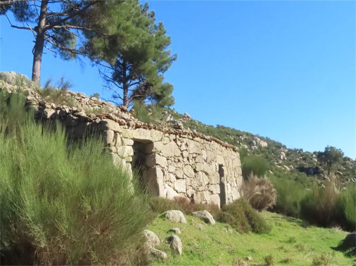 Image No.3-Propriété à vendre à Castelo Branco