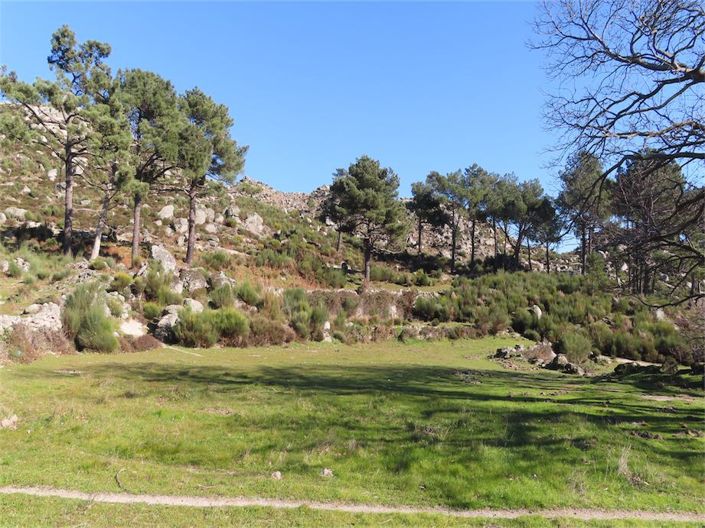 Image No.30-Propriété à vendre à Castelo Branco