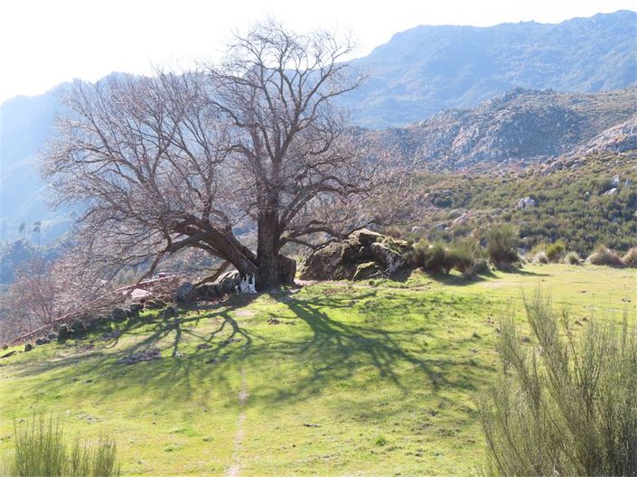 Image No.31-Propriété à vendre à Castelo Branco
