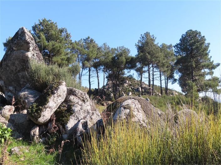 Image No.32-Propriété à vendre à Castelo Branco