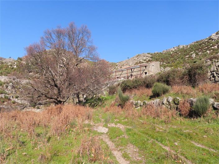 Image No.33-Propriété à vendre à Castelo Branco