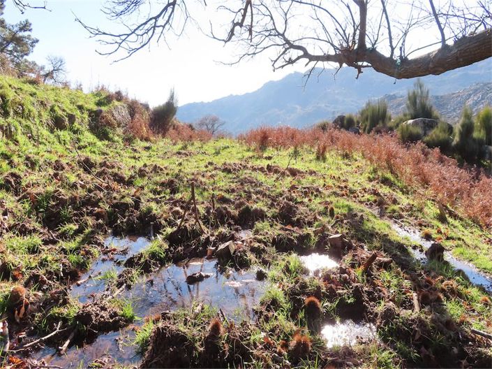 Image No.34-Propriété à vendre à Castelo Branco