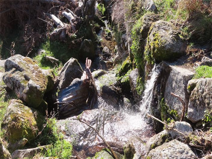 Image No.35-Propriété à vendre à Castelo Branco