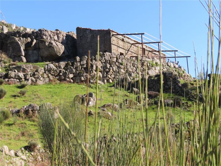 Image No.36-Propriété à vendre à Castelo Branco