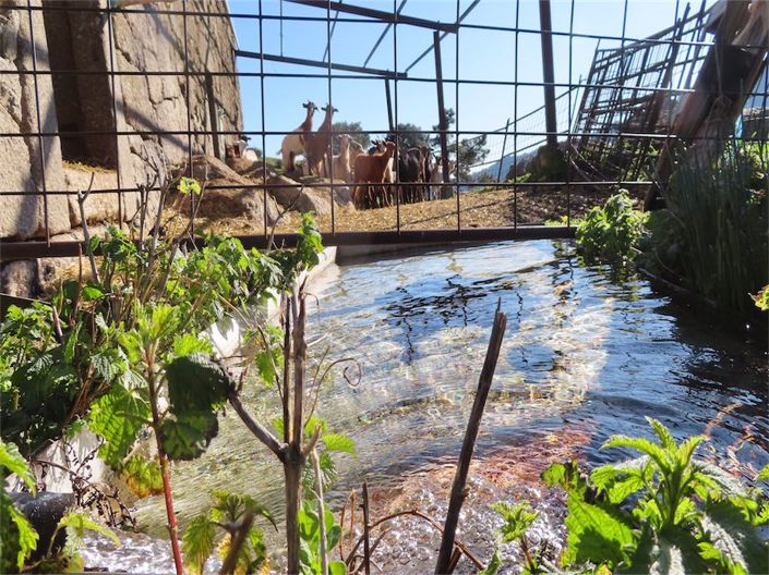 Image No.37-Propriété à vendre à Castelo Branco