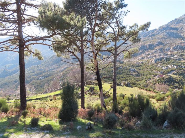 Image No.41-Propriété à vendre à Castelo Branco