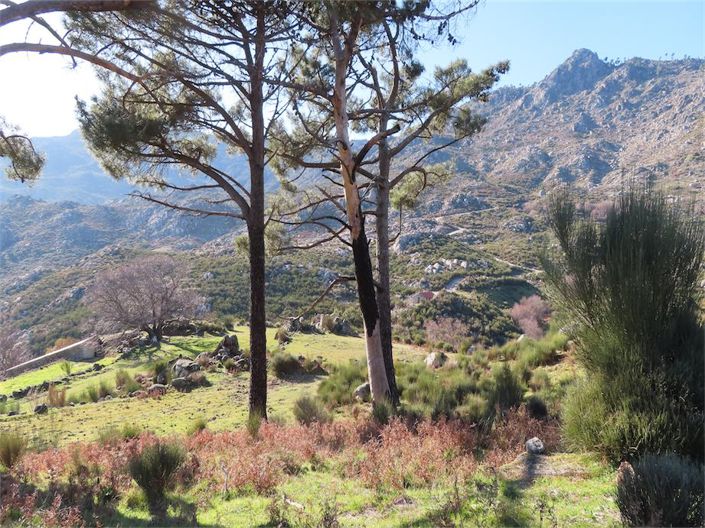 Image No.42-Propriété à vendre à Castelo Branco