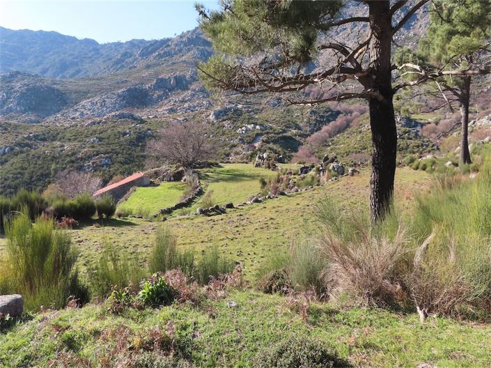 Image No.43-Propriété à vendre à Castelo Branco