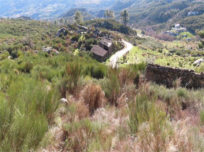 Image No.44-Propriété à vendre à Castelo Branco