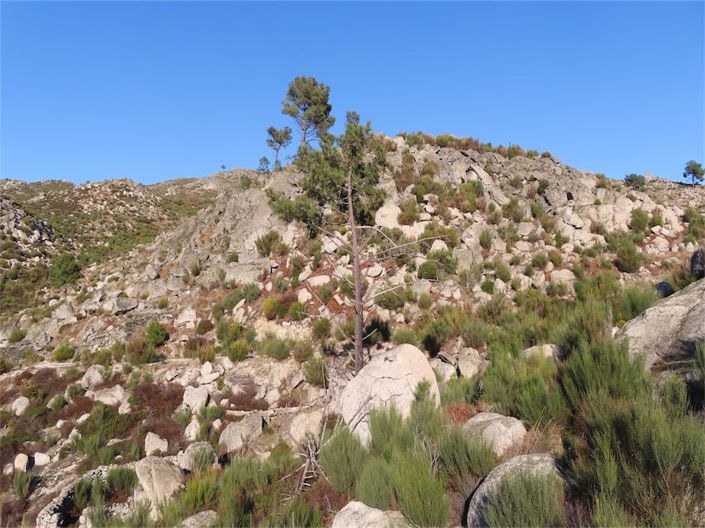 Image No.46-Propriété à vendre à Castelo Branco