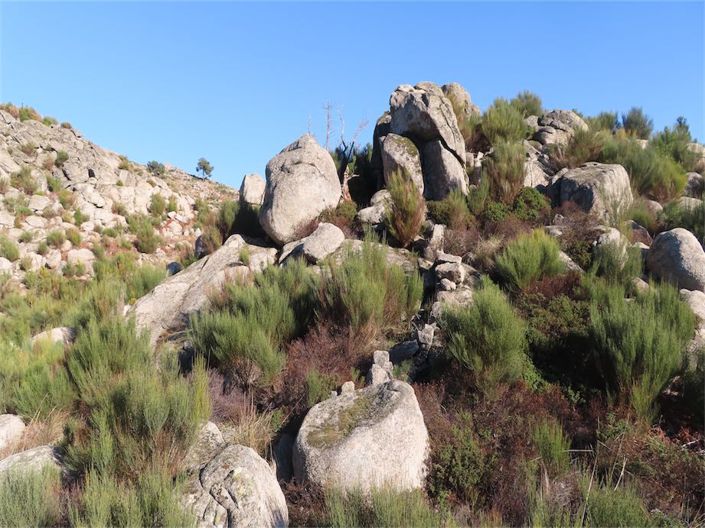 Image No.47-Propriété à vendre à Castelo Branco