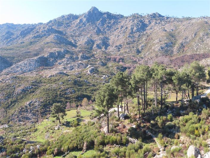 Image No.48-Propriété à vendre à Castelo Branco