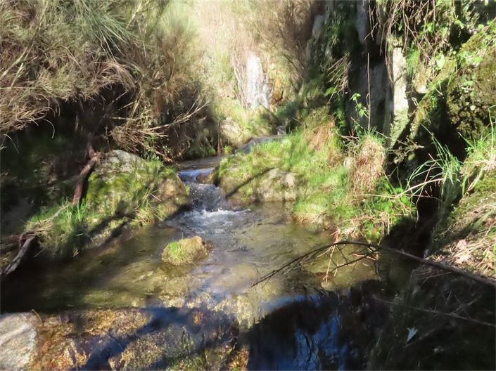 Image No.5-Propriété à vendre à Castelo Branco