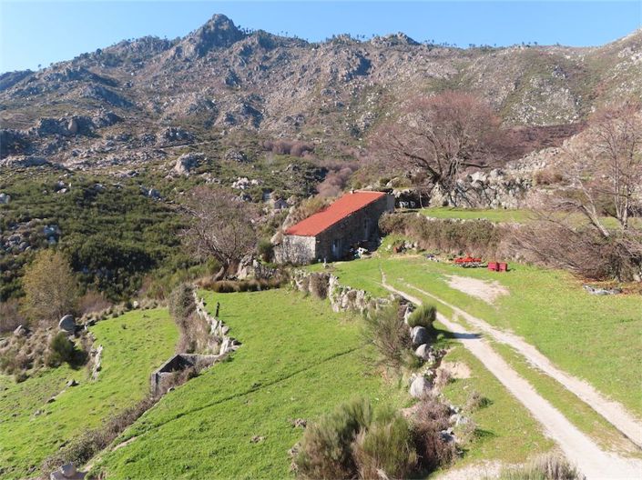 Image No.6-Propriété à vendre à Castelo Branco