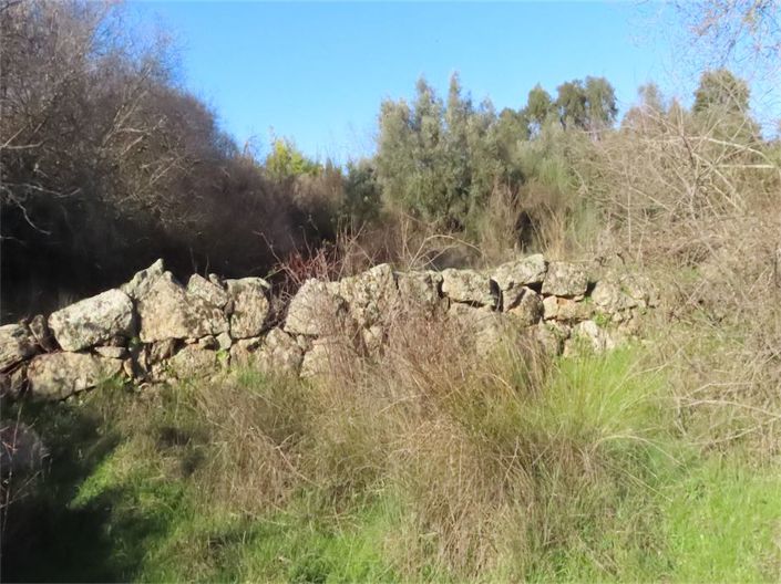 Image No.10-Propriété à vendre à Castelo Branco