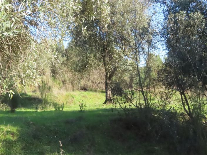 Image No.11-Propriété à vendre à Castelo Branco