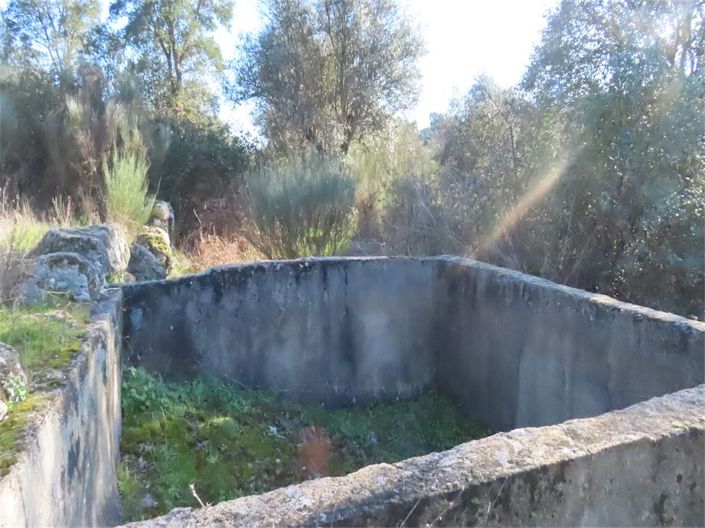 Image No.12-Propriété à vendre à Castelo Branco