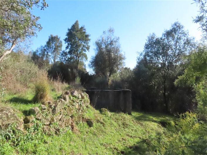 Image No.13-Propriété à vendre à Castelo Branco