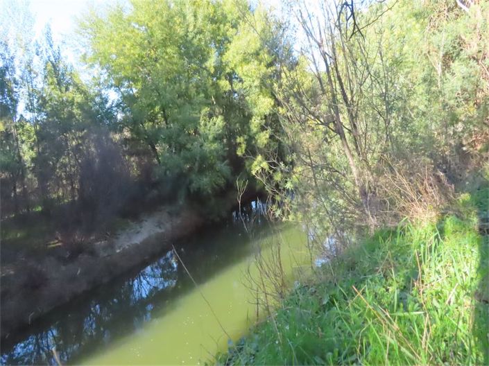 Image No.15-Propriété à vendre à Castelo Branco