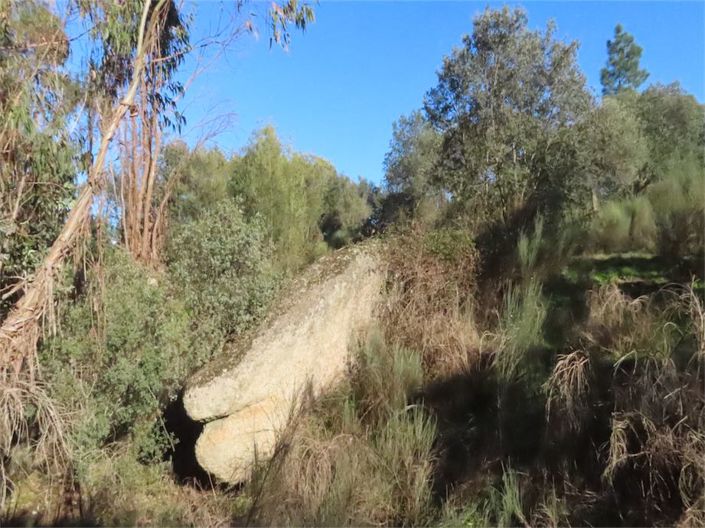 Image No.16-Propriété à vendre à Castelo Branco