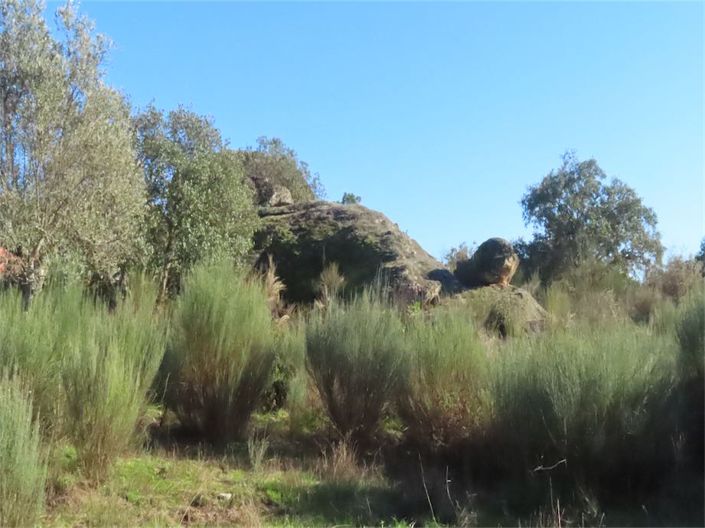 Image No.17-Propriété à vendre à Castelo Branco