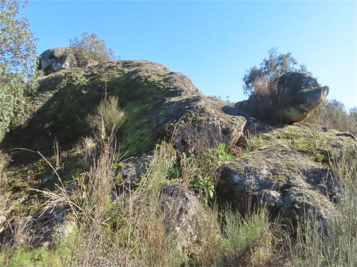 Image No.18-Propriété à vendre à Castelo Branco