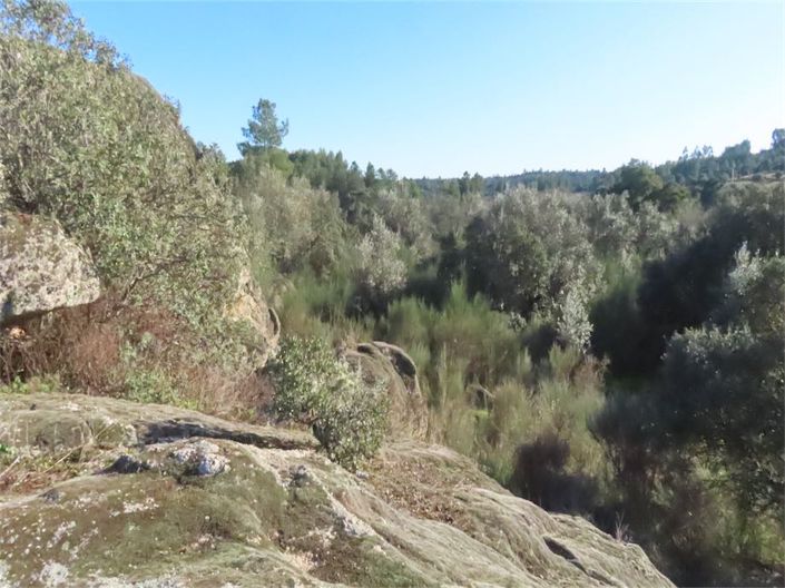 Image No.19-Propriété à vendre à Castelo Branco